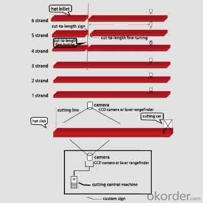 Infrared/Laser Cut-to-Length Cutting System System 1