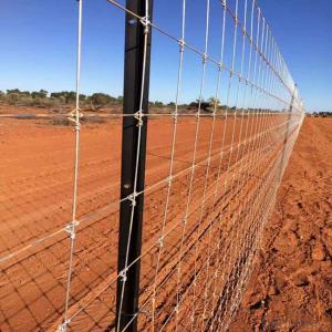 Deer fence/Breeding fence/wire fence/Farm fence/Field fence