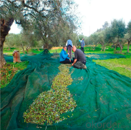 Agriculture HDPE Plastic Olive Tree Harvest Net System 1