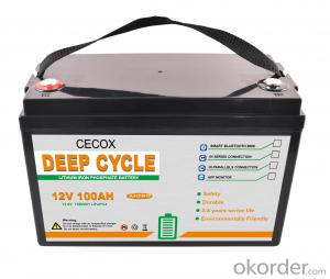 CECOX 25.6V 50Ah Lead Acid Battery Replaced by Lithium battery(JX) System 1