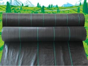 PP Woven Fabric/ Ground cover/ Weed Barrier System 1