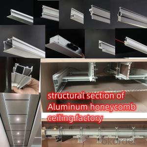 structural section of  Aluminum honeycomb panel ceiling  222