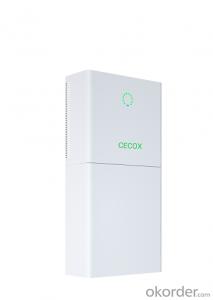 CECOX 4000W All in one Battery with long life LFP Cell and IP65 grade System 1