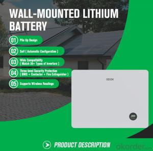 wall-mounted home solar storage lithium battery 51.2v100ah (JX)