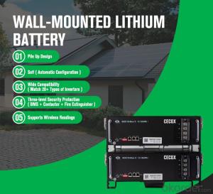 CECOX 5 kwh Racked Lithium Battery in Stock Factory Price