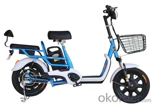 Electirc bike,Electirc bicycle,E-bike,BATTERY-POWERED VEHICLE or BATTERY-POWERED EQUIPMENT System 1
