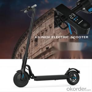 Electric scooter, 350w E-scooter, two-wheeled self-balancing scooter, Brushless controller, SJ02 System 1