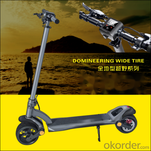 Electric scooter, 350w E-scooter, two-wheeled self-balancing scooter, Brushless controller, SJ06 System 1