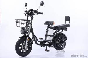 Electric bicycle, Electric bike, E-bike, BATTERY-POWERED VEHICLE, BATTERY-POWERED EQUIPMENT