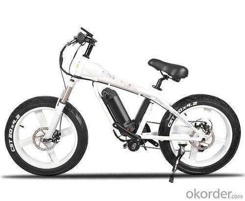 Electric bicycle, E-bike, Electric bike,BATTERY-POWERED VEHICLE,BATTERY-POWERED EQUIPMENT System 1