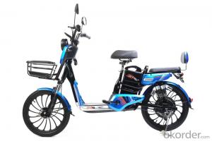 Electric bike, Electric bicycle, E-bike, BATTERY-POWERED VEHICLE