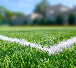 Artificial Turf for Football Field /ISO Approved Artificial Grass