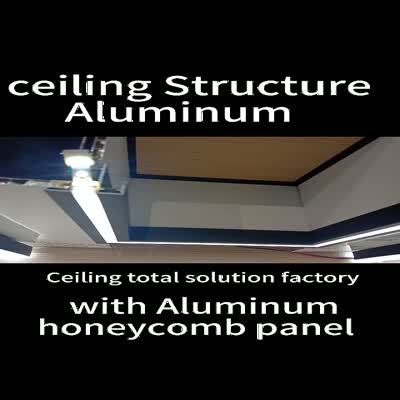 structural section of  Aluminum honeycomb panel ceiling  111 System 1