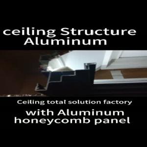 structural section of  Aluminum honeycomb panel ceiling  111