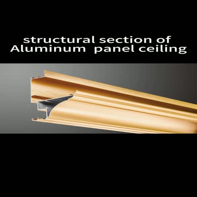 structural section of  Aluminum  buckle  panel ceiling  000 System 1